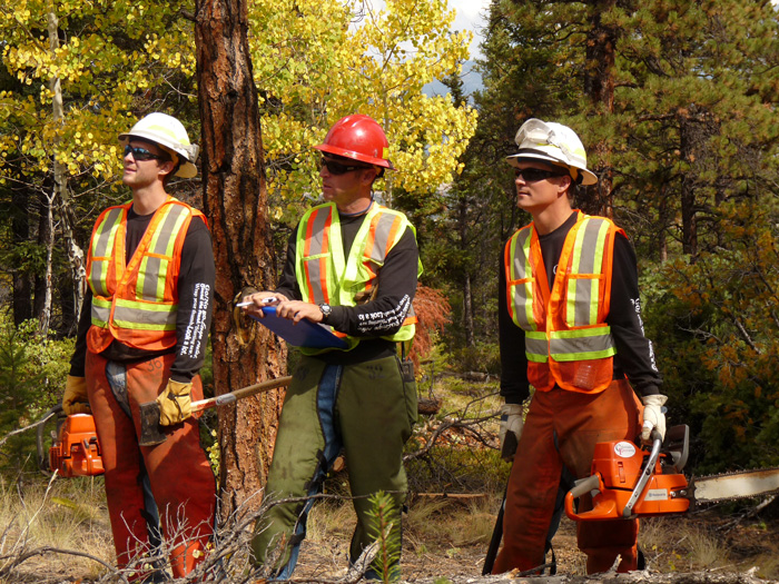 No, really, we don't hire models for the photos at Colorado Firecamp. Instructor Dave DePetro (middle) stands with aspiring firefighters Alex Lorack (left) and Mike Phillips as they assess the next tree to cut for evaluation. But, in case you're wondering about the fall fashions in faller apparel...they are each wearing the new Firecamp sawyer t-shirt in designer black with chainsaw safety advice printed on the long sleeves, accessorized by the 5-point tear-away safety vest, in student orange and instructor yellow. 