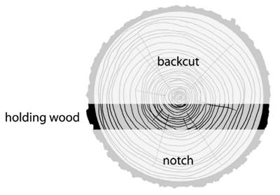 hinge wood / holding wood