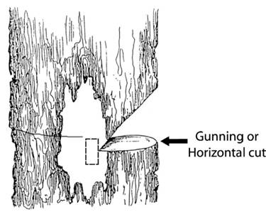 horizontal undercut cut