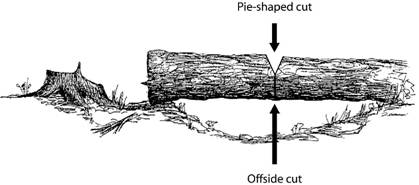 pie shape or wedge cut