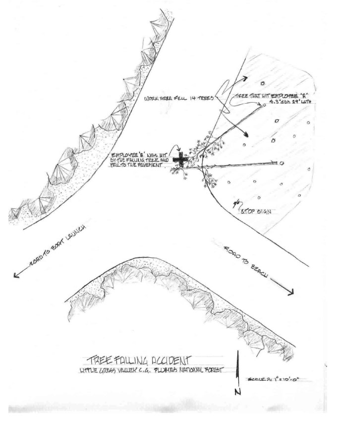 Figure 1: Artist’s sketch of the accident site:
