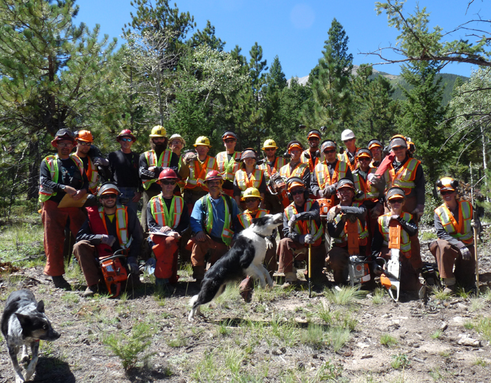 Canine competition intensifies for Firecamp class photos: Rosie walks away in disgust as Emma catches the stick and steals the shot for S-212 Wildland Fire Chain Saws, #27 and Felling Boss, #2 in early September, 2010. This pic is among over 6 years worth of class photos posted on our Facebook Group. 