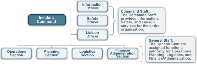 Organization chart, see long description