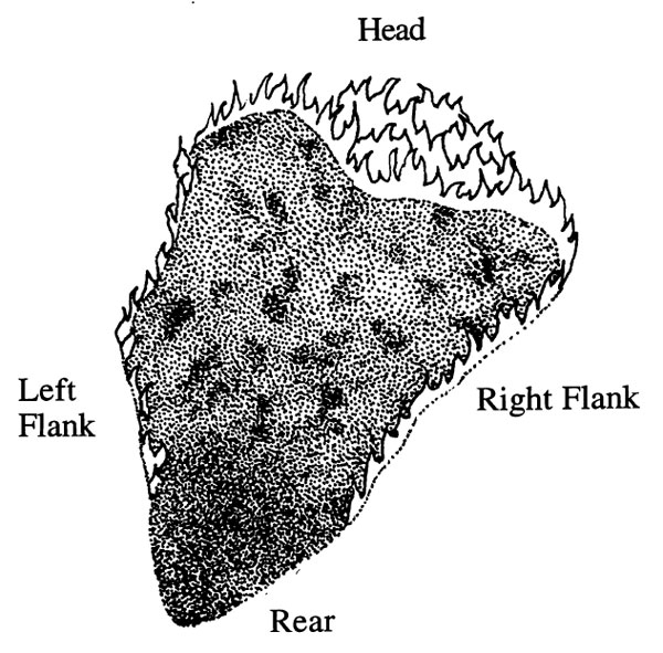 Parts of a Fire