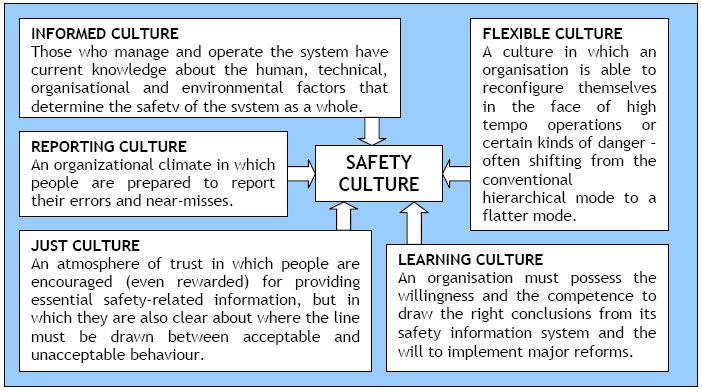 culturally inform definition and examples