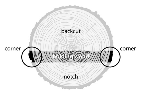 Holding wood