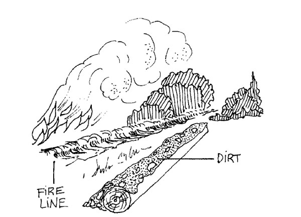 Protection of Stumps and Logs Outside Fireline